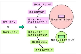 tF̎ށI